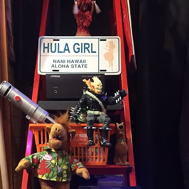 toyさんの実例写真
