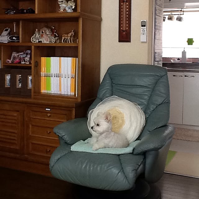 ksyanさんの実例写真