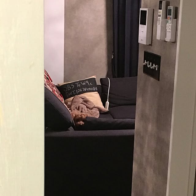 KENさんの実例写真