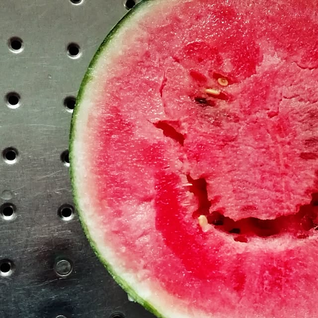 kikuさんの実例写真