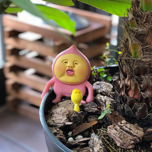 aiaiさんの実例写真