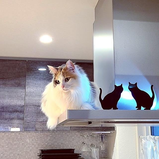 akiko6193さんの実例写真