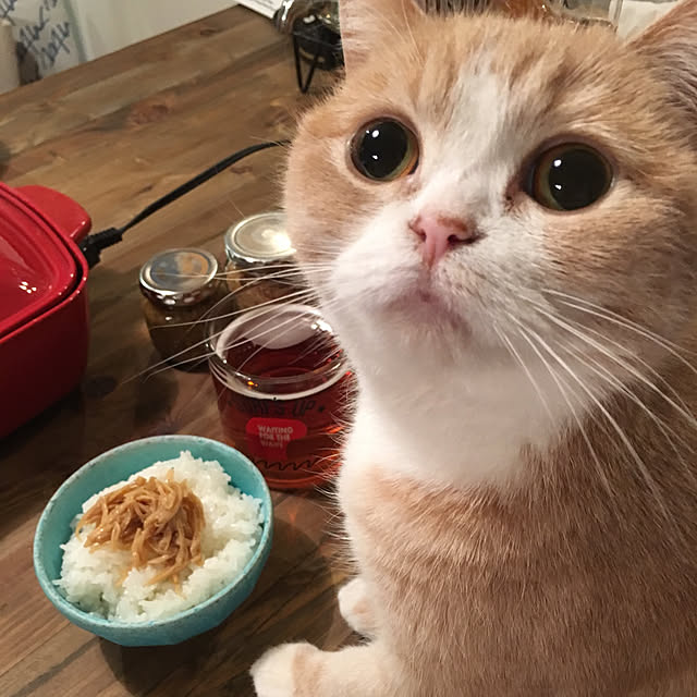 maruさんの実例写真