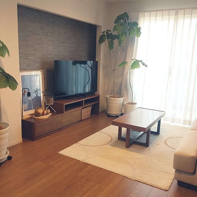 tan5さんの実例写真