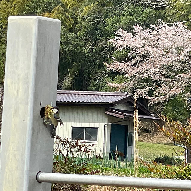 nekosamaさんの部屋