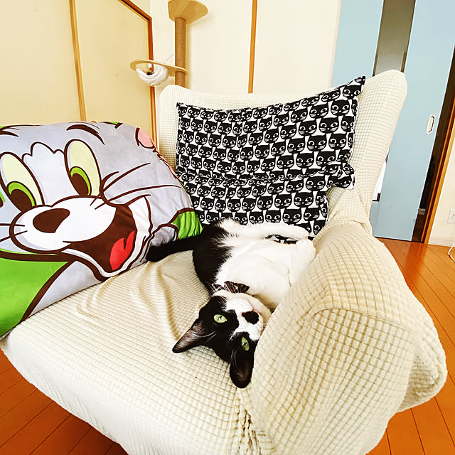 moolさんの実例写真