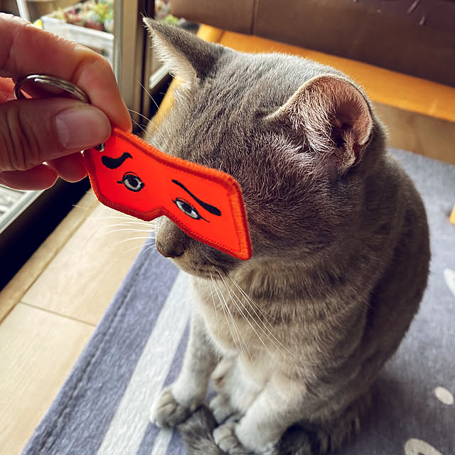 umi96さんの実例写真