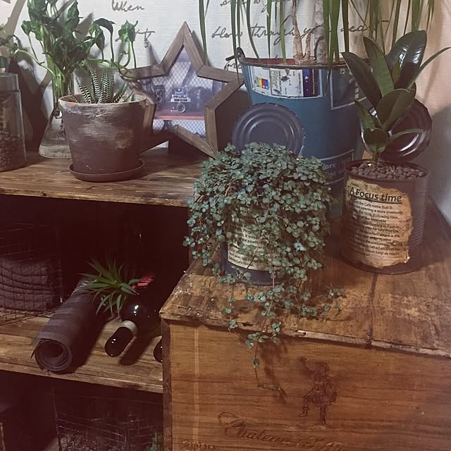 kiyomiさんの実例写真