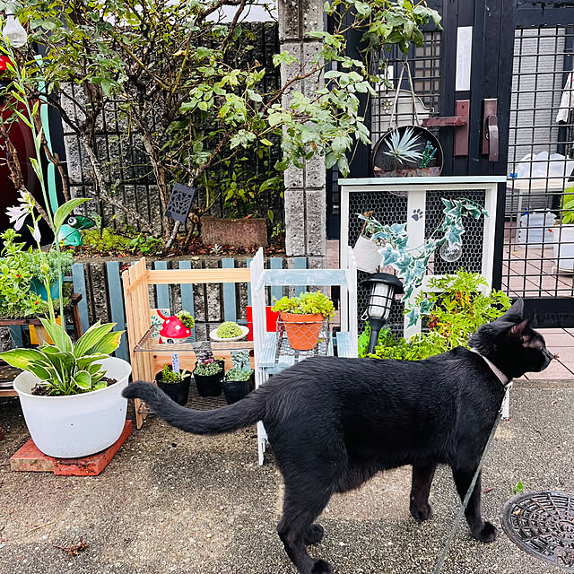 jijiさんの部屋