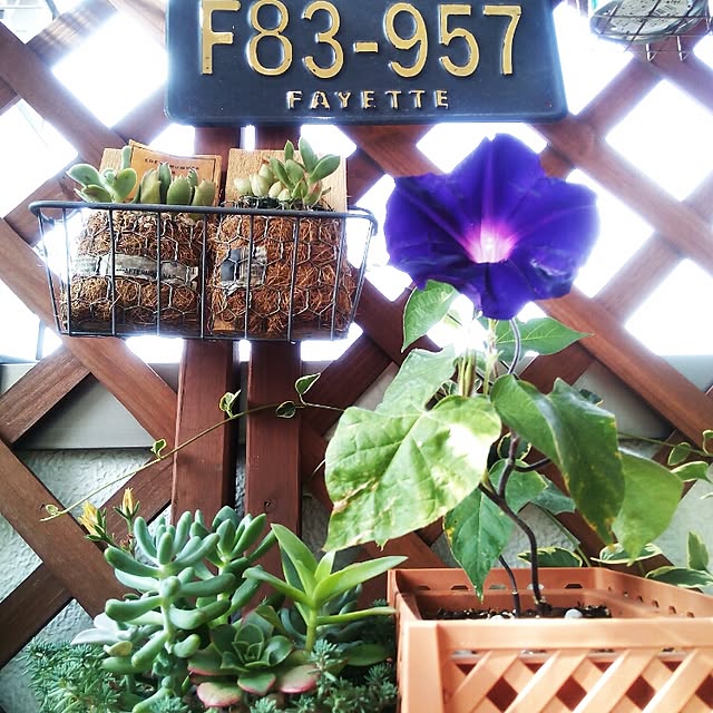 VERANDARJUNさんの実例写真