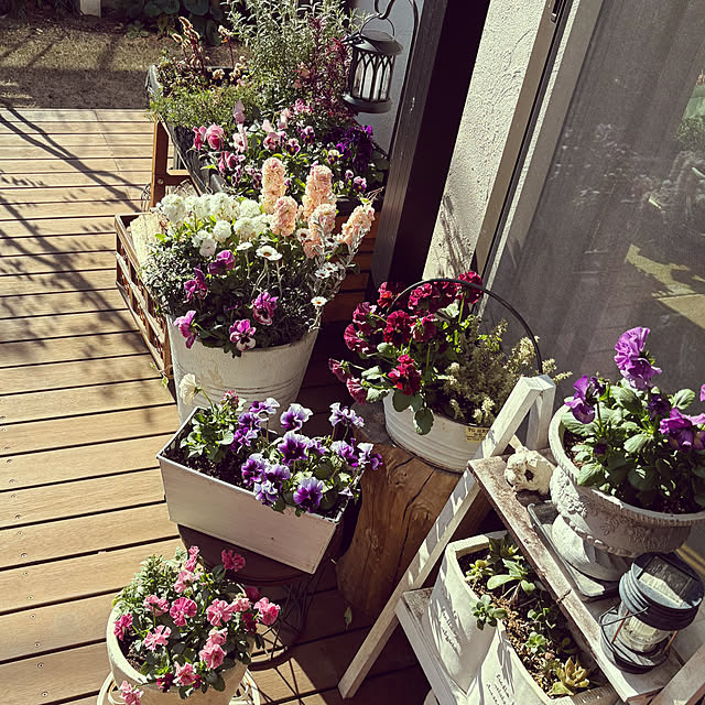 maimai0110さんの部屋