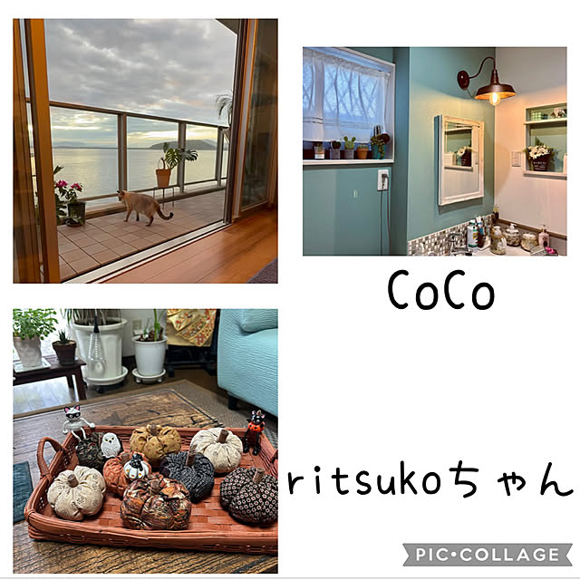 CoCo0617さんの部屋