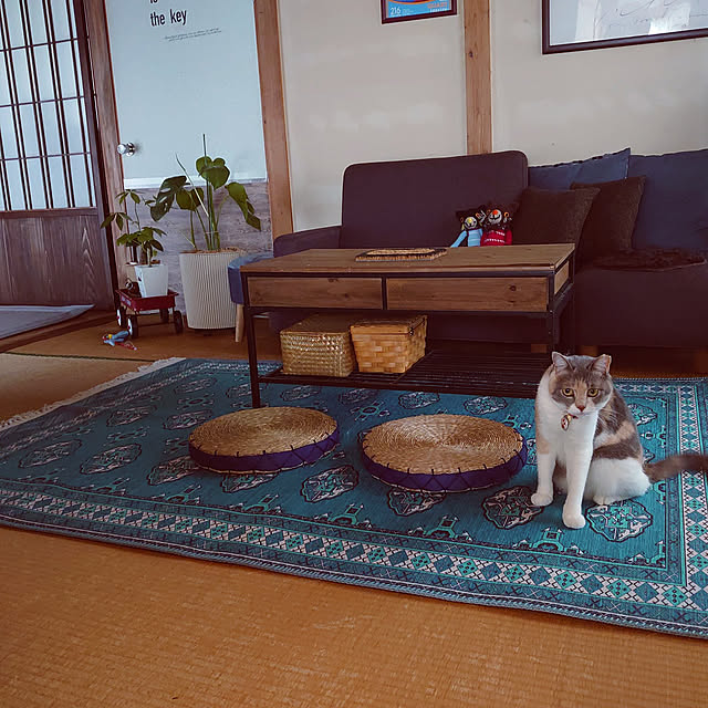 fukuさんの実例写真