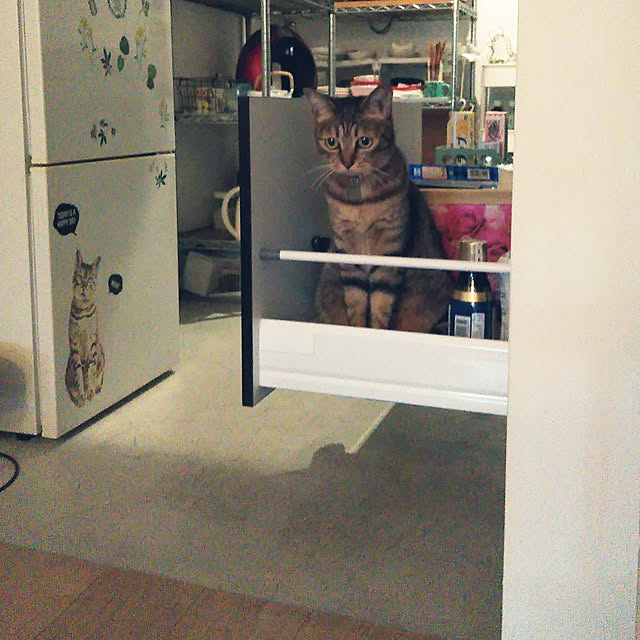 futukoさんの実例写真