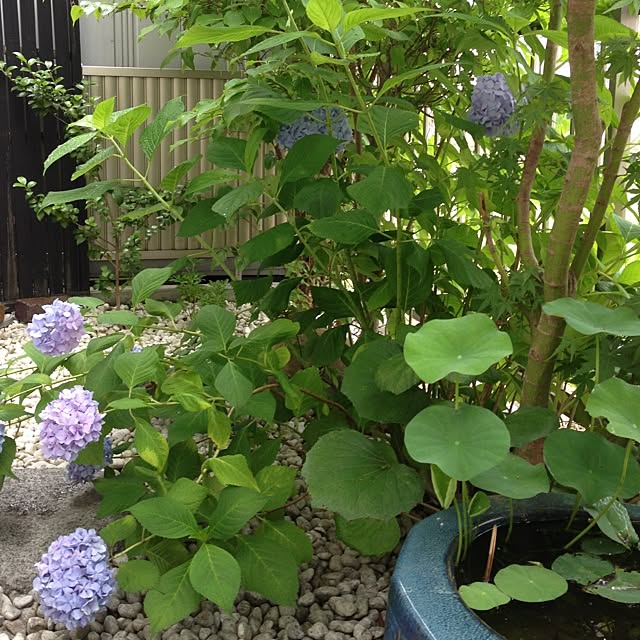 SADAさんの実例写真
