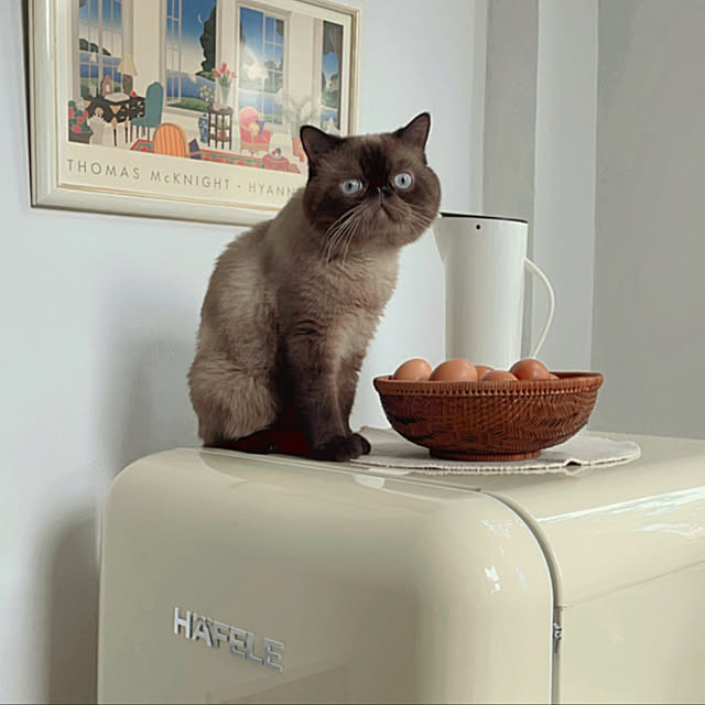 tththitii.さんの実例写真