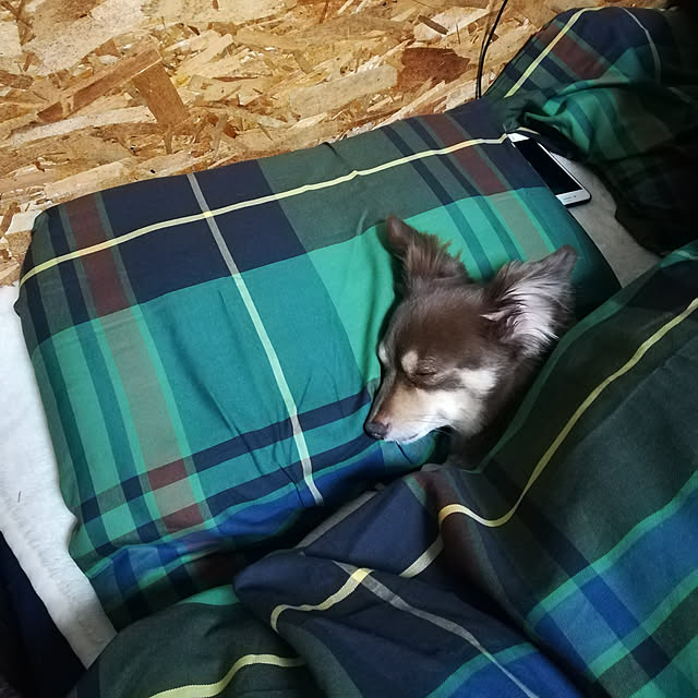 rikakoさんの実例写真