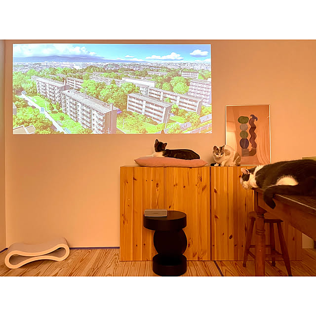 スツール/爪研ぎ/プロジェクターのある暮らし/プロジェクター/IKEA...などのインテリア実例 - 2022-10-21 00:04:09