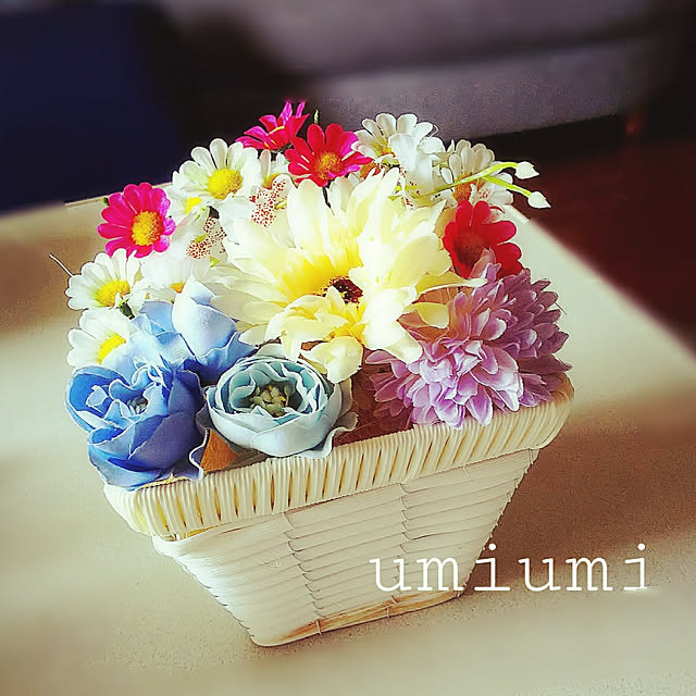 umiumiさんの実例写真