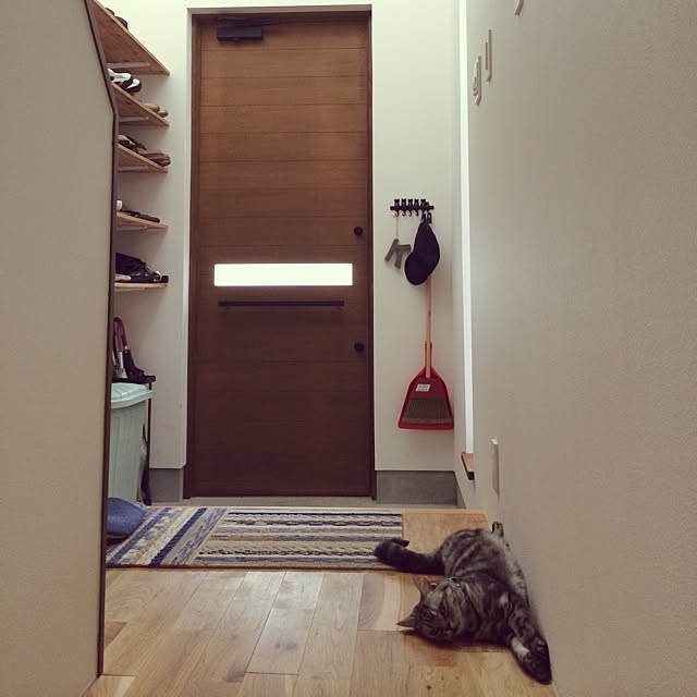 mi--さんの実例写真