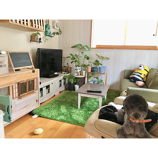 makoriさんの実例写真