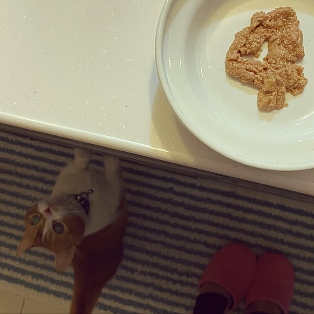 KotarouKunさんの実例写真