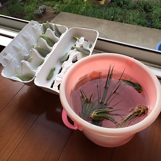 Mi-chonさんの実例写真