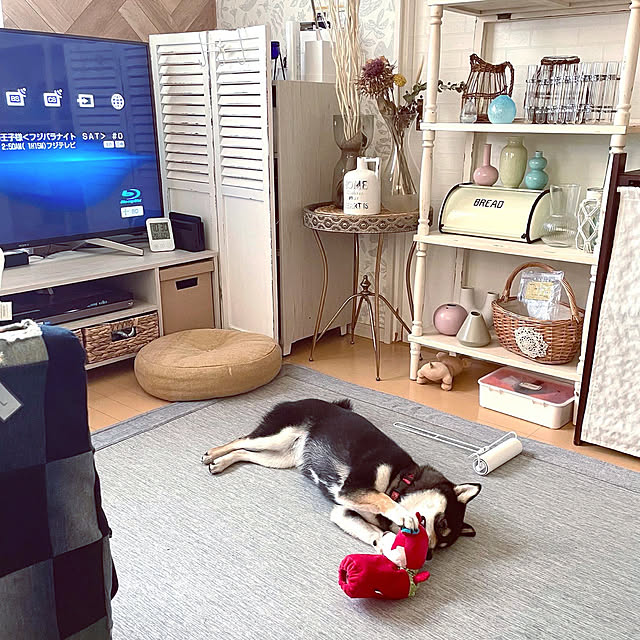 mo-nosukeさんの実例写真