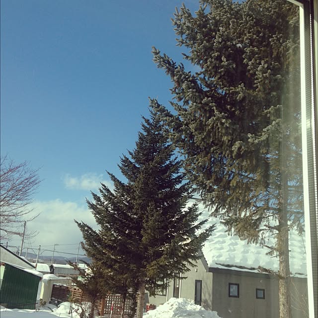 実例写真