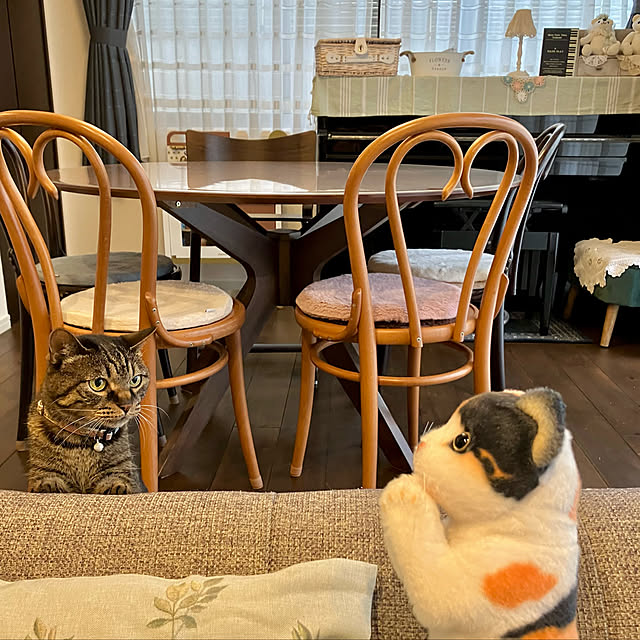 ayataroさんの実例写真