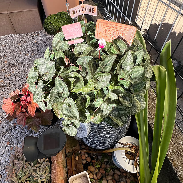 nannoさんの部屋