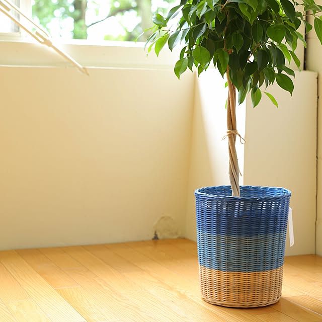 MyPlaceStoreさんの実例写真