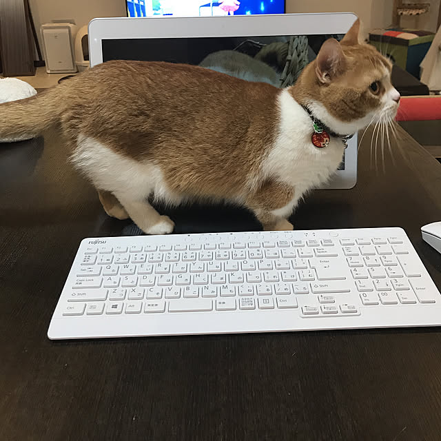 KotarouKunさんの実例写真