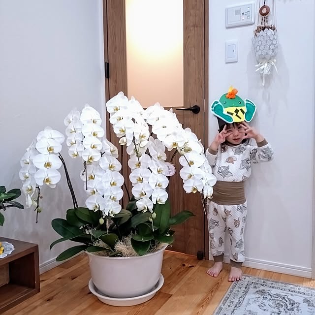 ri-eさんの実例写真