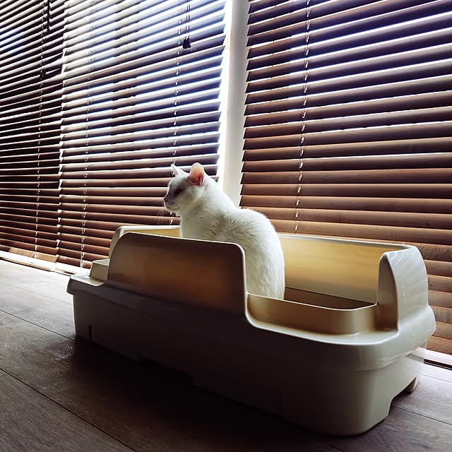 Blackcatさんの部屋