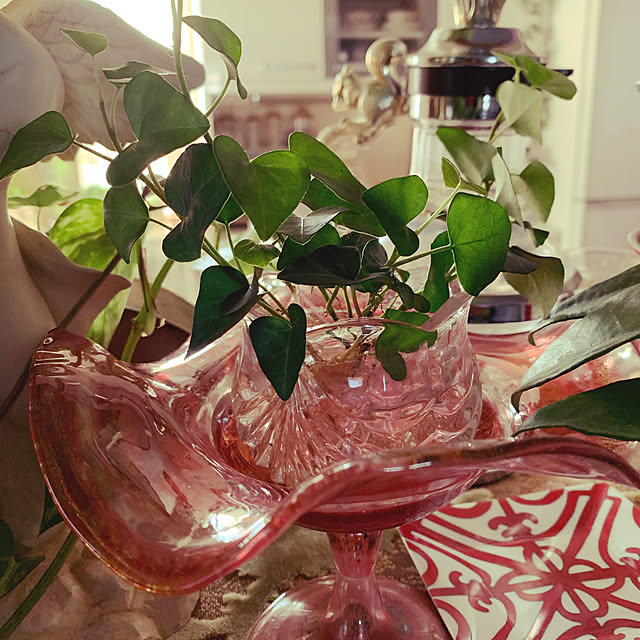 AYUKOさんの実例写真