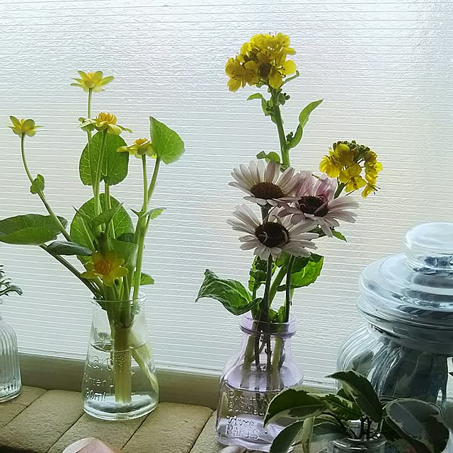 naopyiさんの実例写真