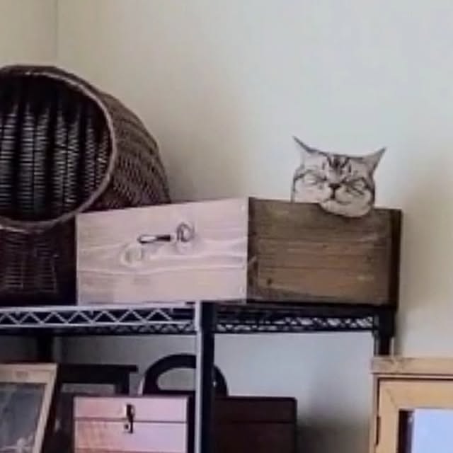 lovepeaceさんの部屋