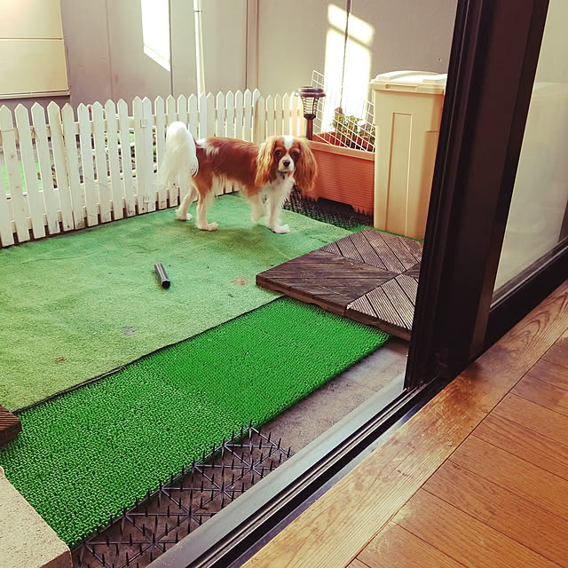 mintさんの実例写真