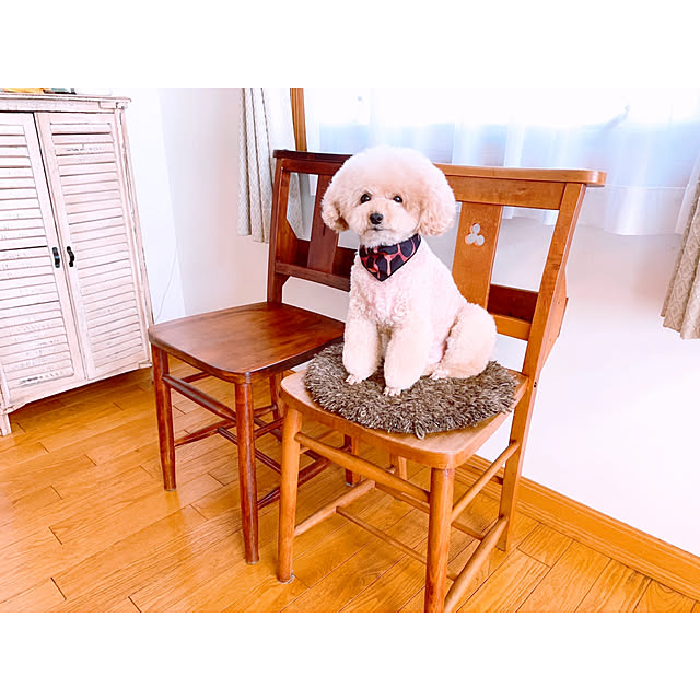 teaさんの実例写真