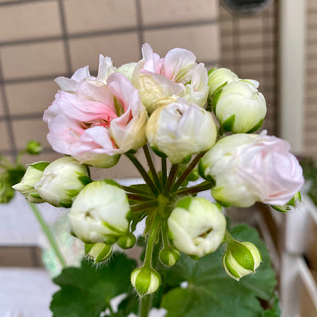 YuuKoさんの部屋
