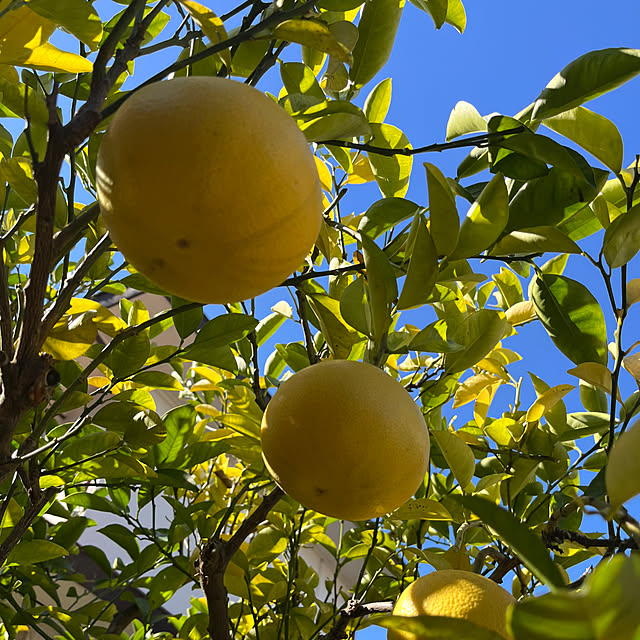 miyakoさんの部屋