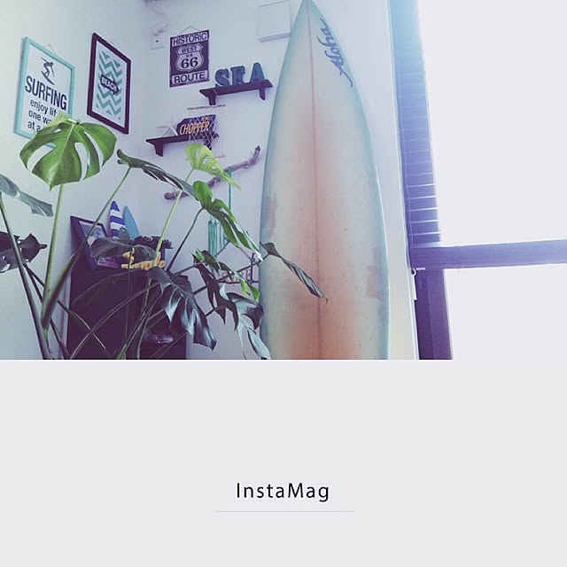 harusoraさんの実例写真