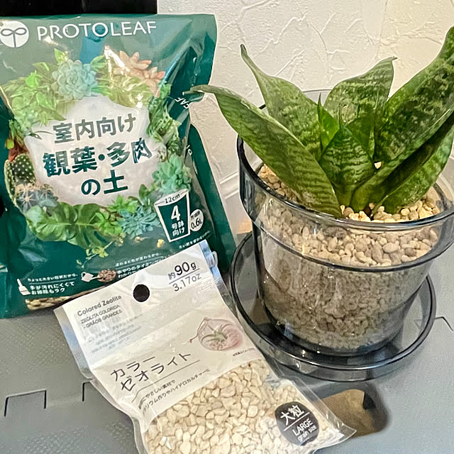 diy.papaさんの実例写真