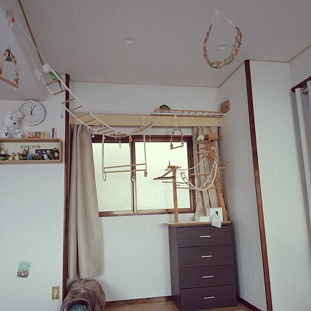 toratanさんの実例写真
