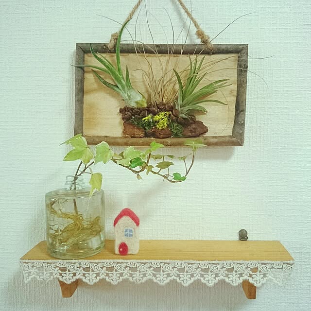 SATOMIさんの実例写真