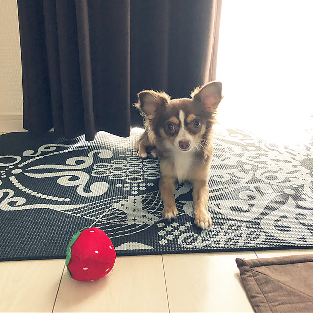 chocoさんの実例写真