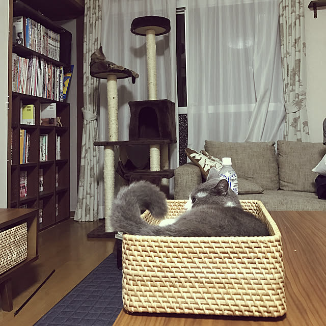 hacchiさんの実例写真