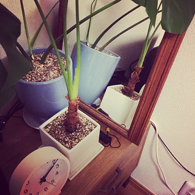 meeさんの実例写真
