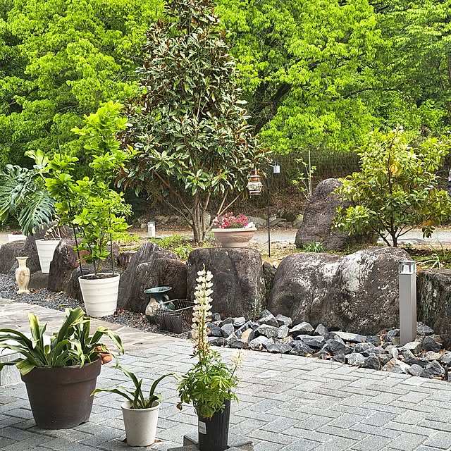 Rubiconさんの部屋